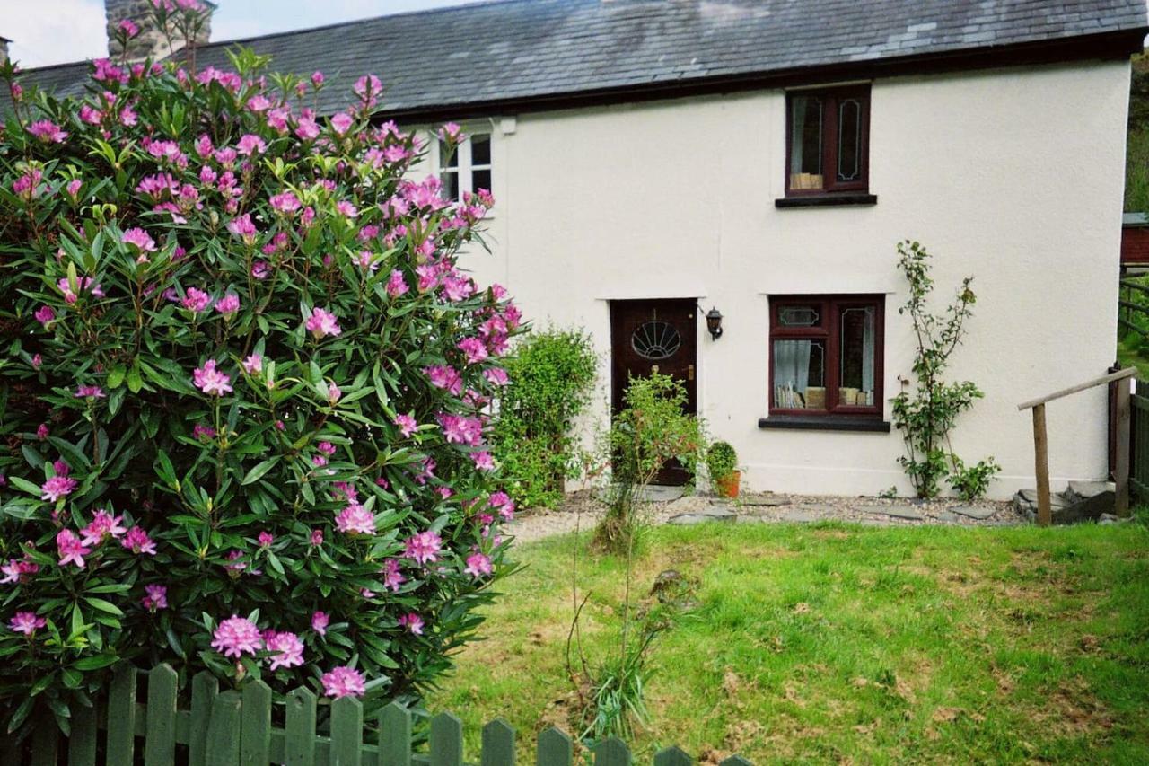 Villa Deer House Machynlleth Exterior foto